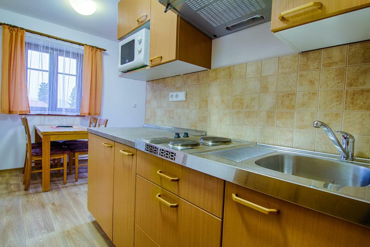 Apartment Rokys Rokytnice nad Jizerou Ngoại thất bức ảnh