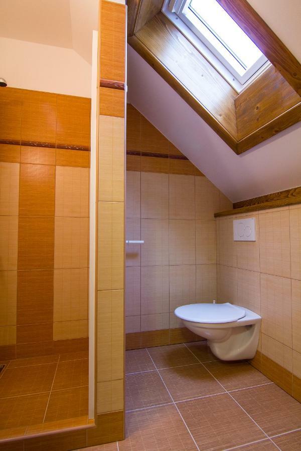 Apartment Rokys Rokytnice nad Jizerou Ngoại thất bức ảnh